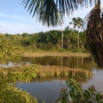 Versteckter See in Manaus