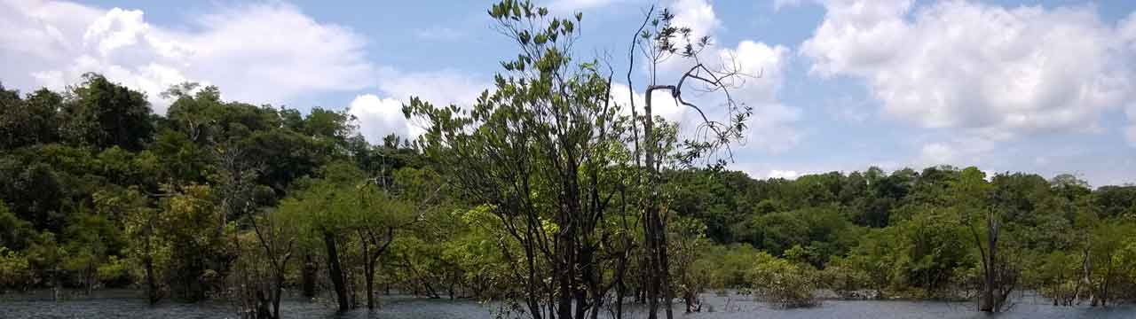 Zettelkasten Klaus Reuss