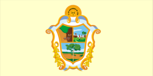 Flagge von Manaus