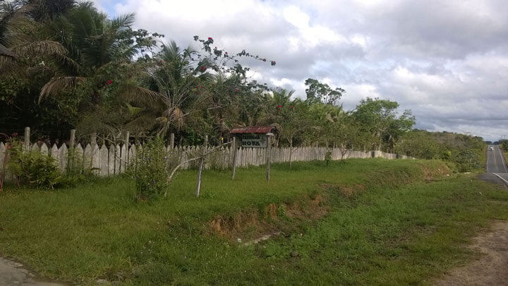 Palmen und ein Holzzaun grenzen die Facenda von der Straße Manacapuru - Novo Airao ab