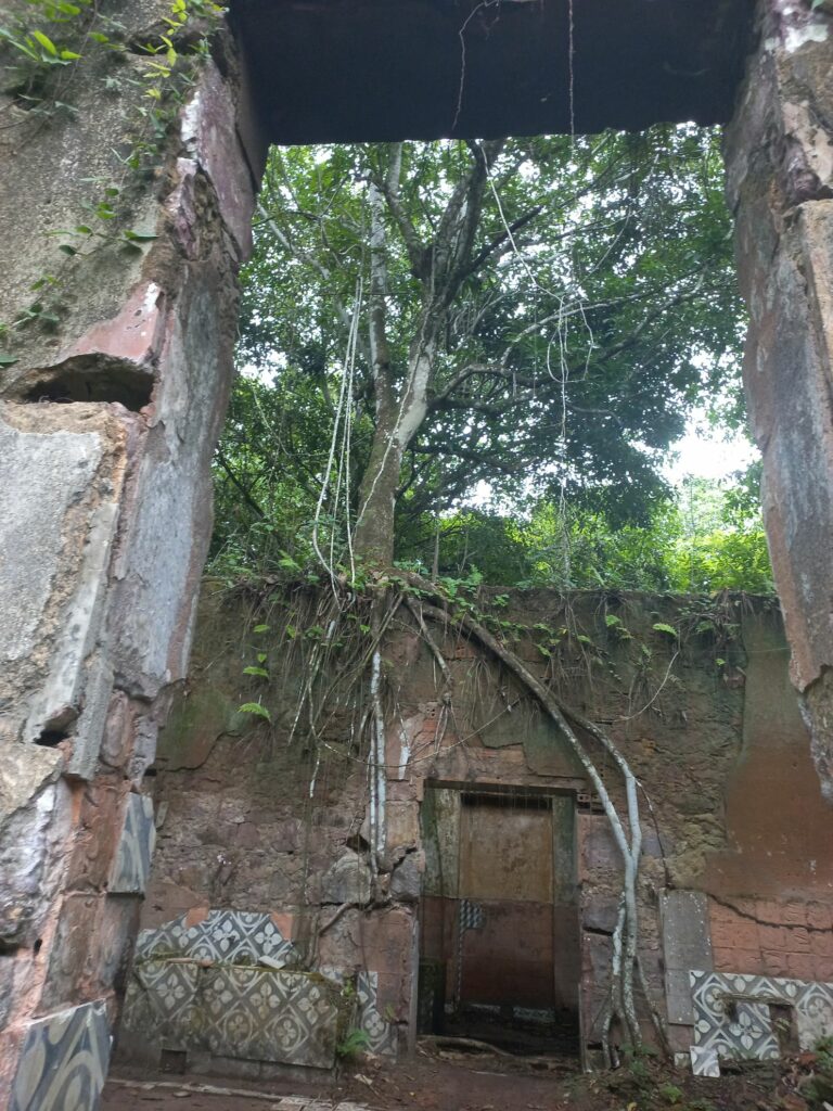 Saal mit Durchgang, der zu einer weiteren, hölzernen Tür führt. Auf der Mauer wächst ein Baum, dessen große Luftwurzel den Durchgang einrahmen