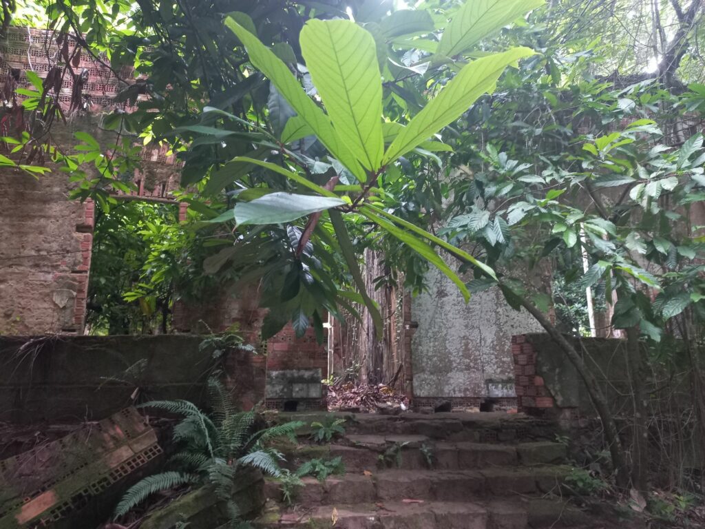 Blick von einem lichtumspielten Innenhof des ehemaligen Hospitals. Eine Treppe, mittlerweile nur noch aus Backsteinen führt zu einem Rundgang, der auf der einen Seite von einer kleinen Mauer gesichert, wird und auf der anderen Seite von Außenmauern von Zimmern. Alle Gebäudeteile sind von Vegetation durchdrungen.