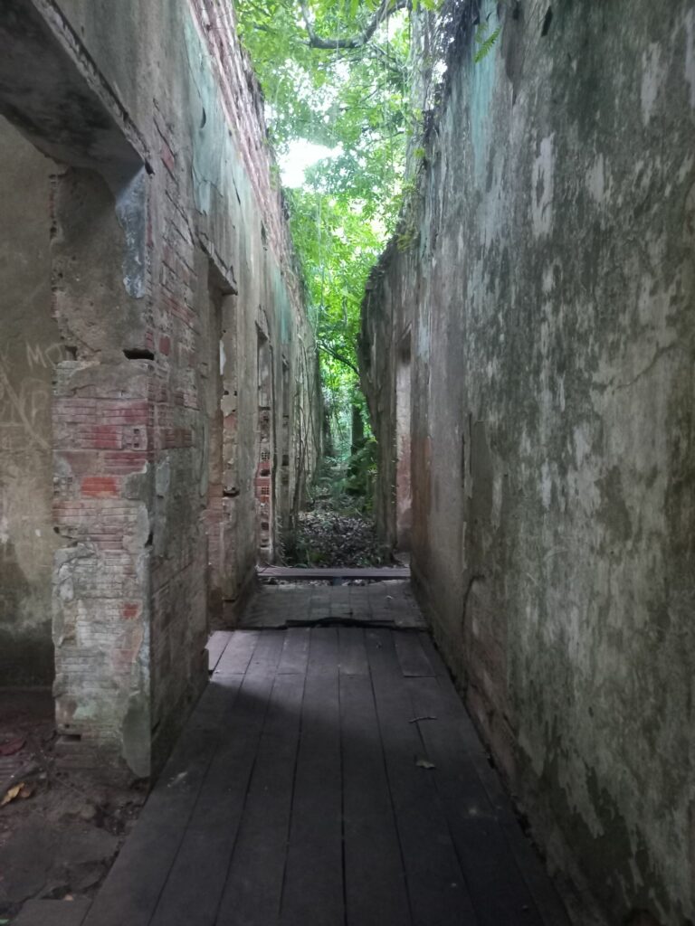 Ein langer Gang, dessen vermutlich eingebrochener Boden von einem neueren Holzboden gesichert ist. Weiter im Hintergrund ist der Boden nur mit Vegetation bedeckt. 